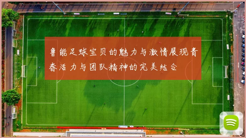 鲁能足球宝贝的魅力与激情展现青春活力与团队精神的完美结合