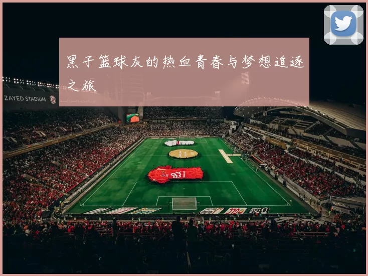 黑子篮球灰的热血青春与梦想追逐之旅