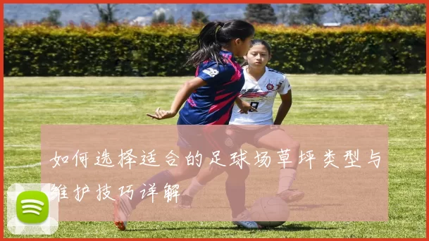 如何选择适合的足球场草坪类型与维护技巧详解